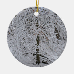 Adorno De Cerámica Doscubierta de abedul nevado