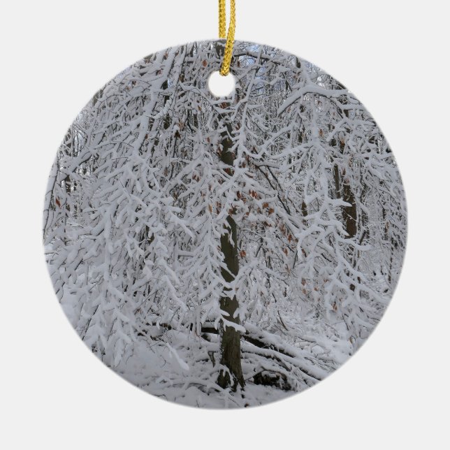 Adorno De Cerámica Doscubierta de abedul nevado (Frente)
