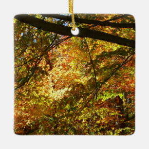 Adorno De Cerámica Doscubierta de Hojas de Otoño I Naturaleza de Otoñ