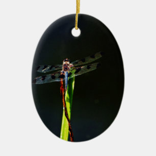 Adorno De Cerámica Dragonfly azul y negro sobre hierba verde y roja