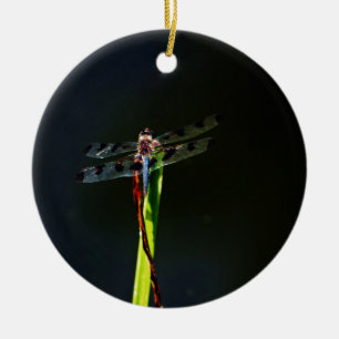 Adorno De Cerámica Dragonfly azul y negro sobre hierba verde y roja
