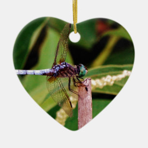 Adorno De Cerámica Dragonfly con flores blancas