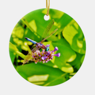 Adorno De Cerámica Dragonfly de color arcoiris sobre una flor rosa mo