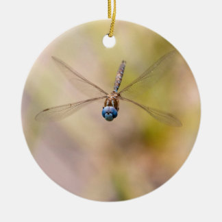 Adorno De Cerámica Dragonfly fotografía