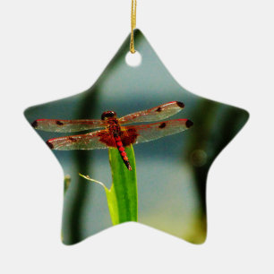 Adorno De Cerámica Dragonfly rojo y negro visto