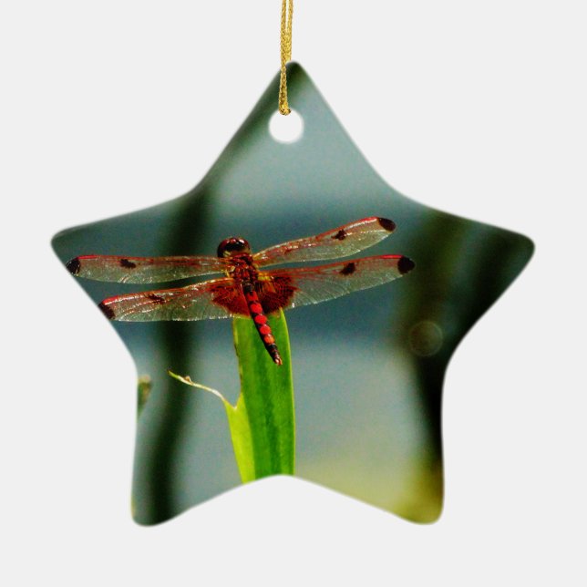 Adorno De Cerámica Dragonfly rojo y negro visto (Frente)