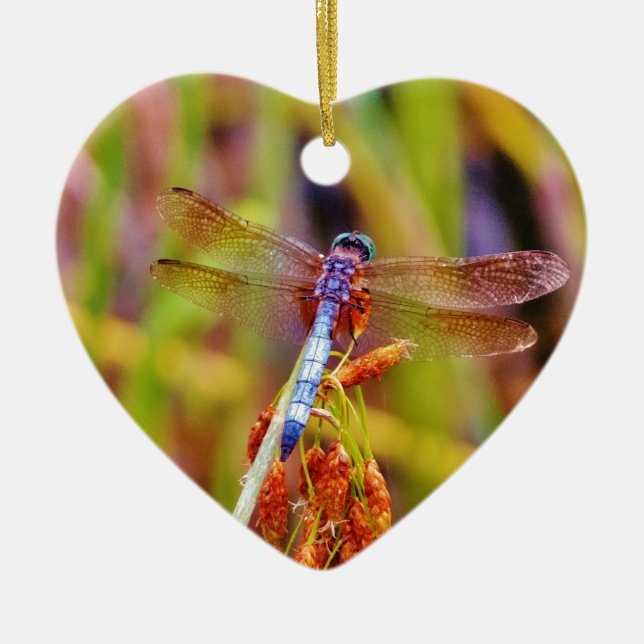 Adorno De Cerámica Dragonfly verde azulado (Frente)