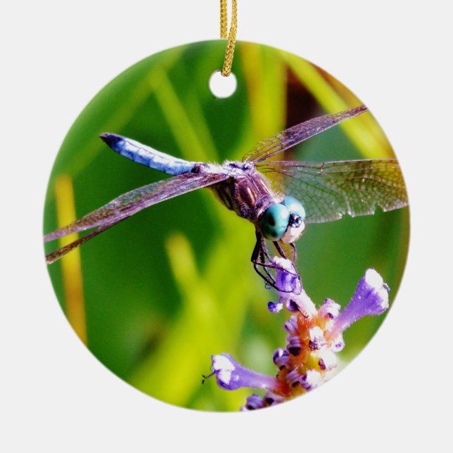 Adorno De Cerámica Dragonfly verde azulado y púrpura (Frente)