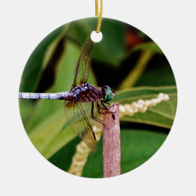 Adorno De Cerámica Dragonfly with white flowers (Frente)
