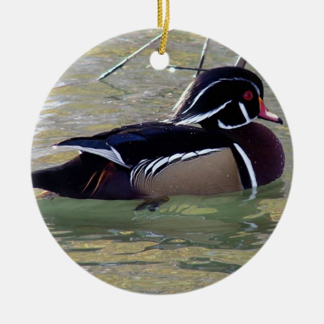 Adorno De Cerámica Drake de pato de madera (Frente)