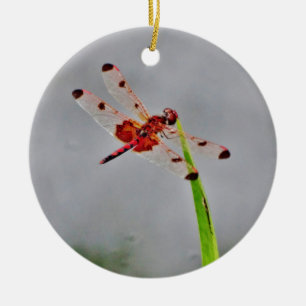 ADORNO DE CERÁMICA DSC00029.JPG