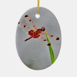 ADORNO DE CERÁMICA DSC00029.JPG