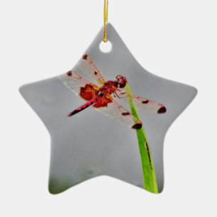 ADORNO DE CERÁMICA DSC00029.JPG