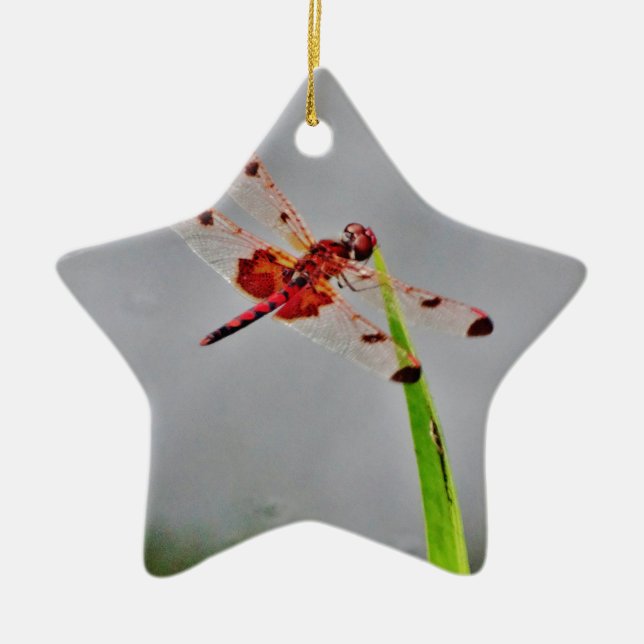 ADORNO DE CERÁMICA DSC00029.JPG (Frente)