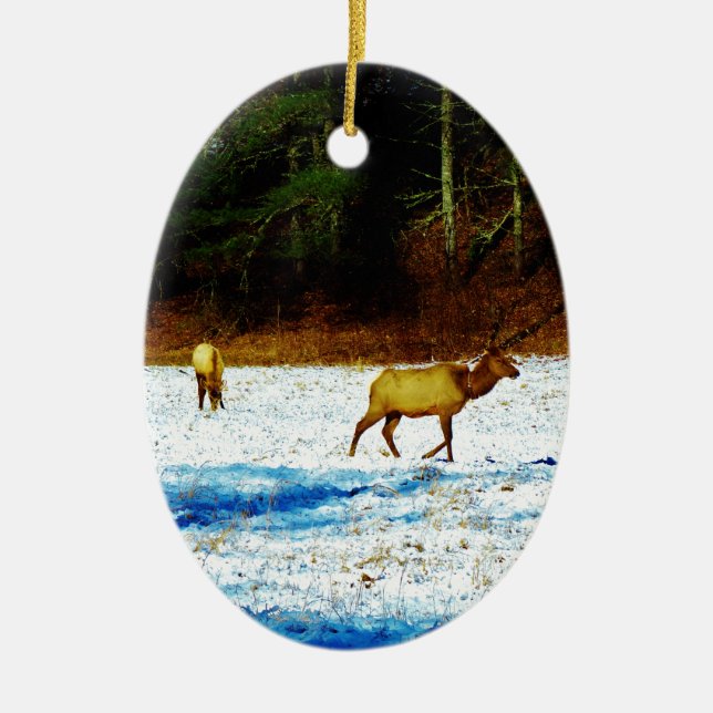 ADORNO DE CERÁMICA DSC00131.JPG (Frente)