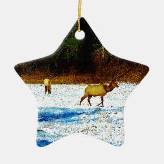 ADORNO DE CERÁMICA DSC00131.JPG