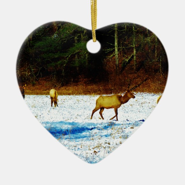 ADORNO DE CERÁMICA DSC00131.JPG (Frente)