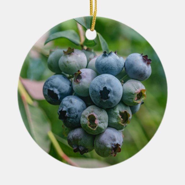 ADORNO DE CERÁMICA DSC_4190 (Frente)