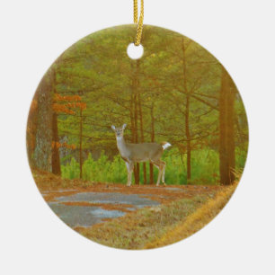 ADORNO DE CERÁMICA DSCF4041.JPG