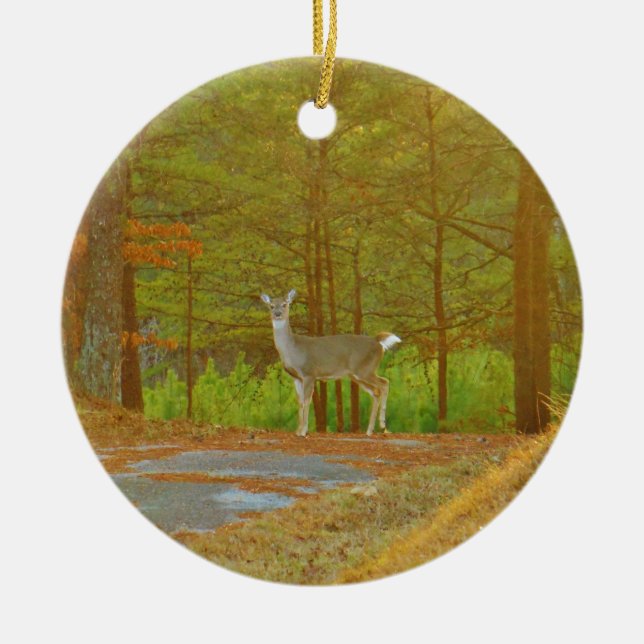 ADORNO DE CERÁMICA DSCF4041.JPG (Frente)