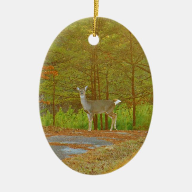 ADORNO DE CERÁMICA DSCF4041.JPG (Frente)