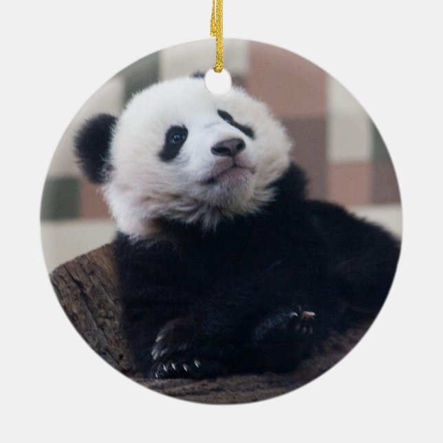 Adorno De Cerámica Dulce Giant Panda Baby (Atrás)