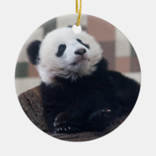 Adorno De Cerámica Dulce Giant Panda Baby
