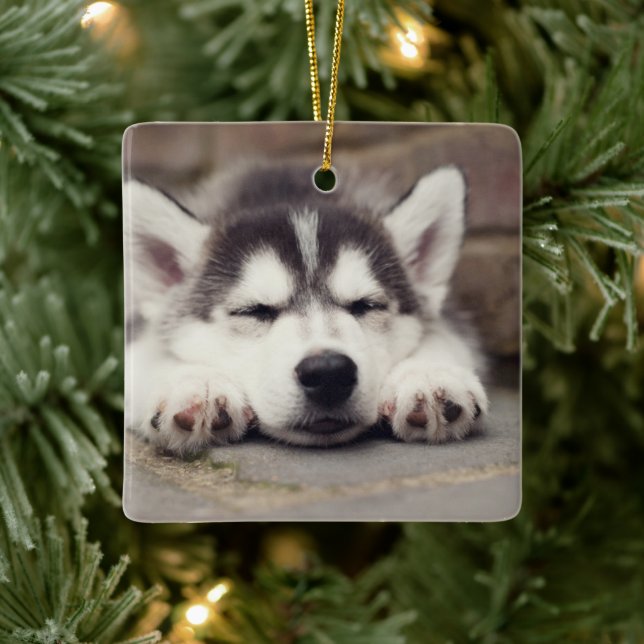 Adorno De Cerámica Dulce Husky Cachorro Siberiano Dormido (Árbol)