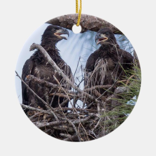 Adorno De Cerámica E10 y E11Ornament (Frente)