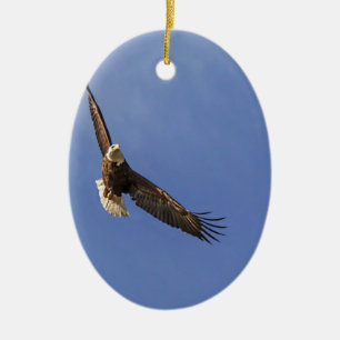 Adorno De Cerámica El águila calva