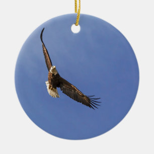 Adorno De Cerámica El águila calva