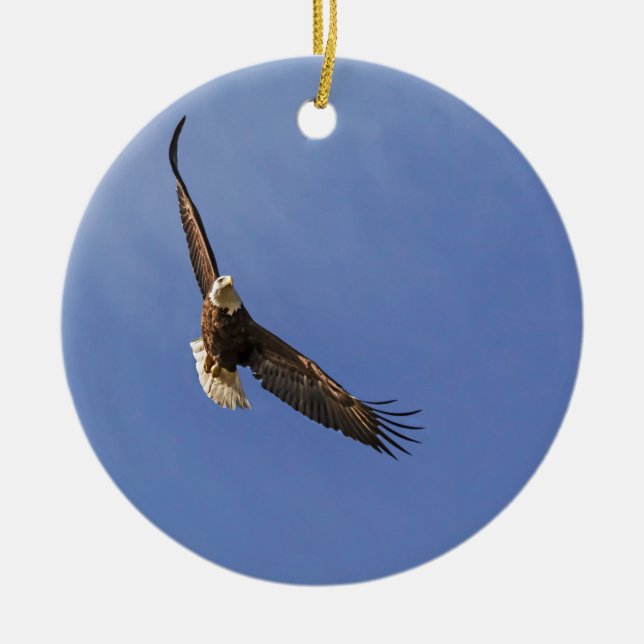Adorno De Cerámica El águila calva (Frente)