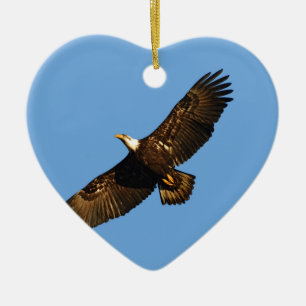 Adorno De Cerámica El águila calva se eleva 2
