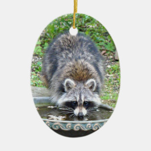 Adorno De Cerámica El agujero del agua - Raccoon