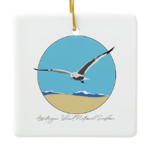 El barco guerrero de la isla de Assateague sobre l