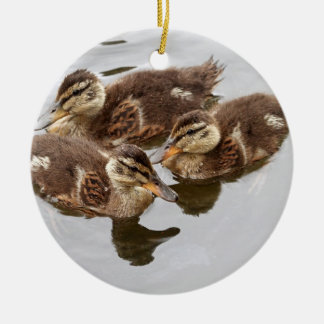 Adorno De Cerámica El bebé Ducks la foto