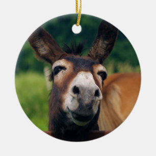 Adorno De Cerámica El burro sonríe para el navidad