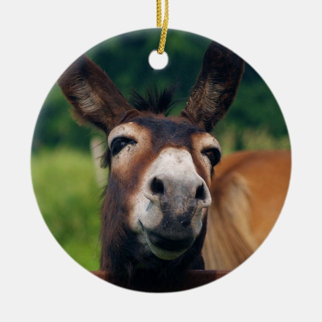 Adorno De Cerámica El burro sonríe para el navidad (Frente)