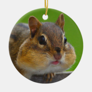 Adorno De Cerámica el chipmunk es lleno