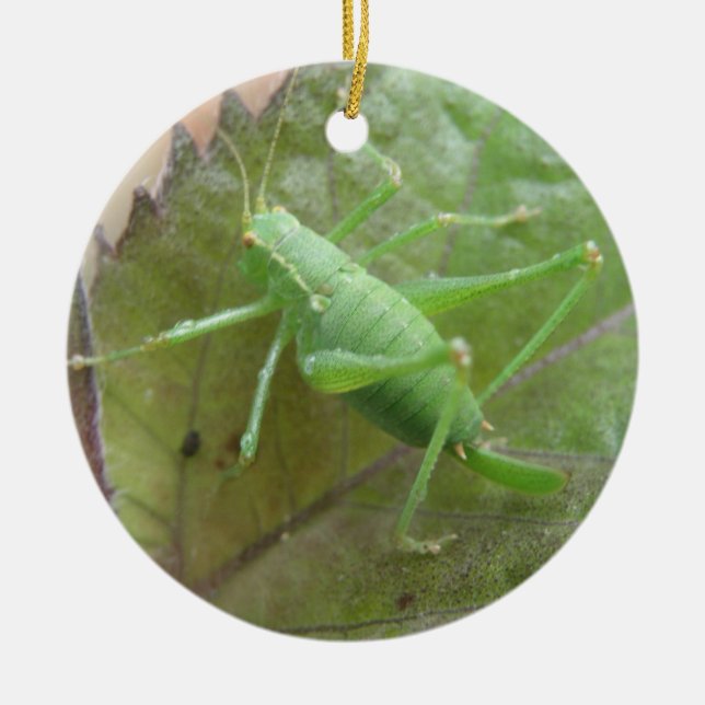 Adorno De Cerámica El críquet verde en un cumpleaños Personalizado de (Frente)