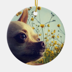 Adorno De Cerámica El doble personalizado de la chihuahua echó a un