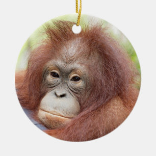 Adorno De Cerámica El Dr. huérfano Ana del orangután