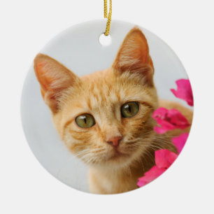 Adorno De Cerámica El gatito Ginger Gatito gatito está mirando la fot
