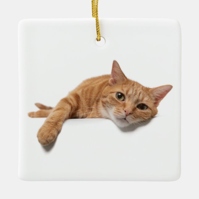 Adorno De Cerámica El gato del naranja está tumbado (Anverso)