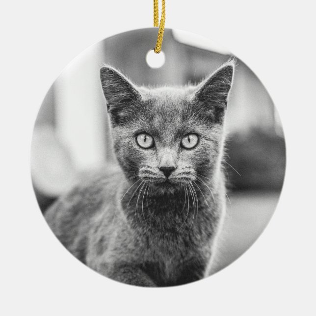 Adorno De Cerámica El gato gris (Frente)