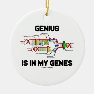 Adorno De Cerámica El Genio Está En Mis Genes Humor De Replicación De