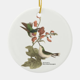Adorno De Cerámica El Hummingbird de garganta roja o gélida