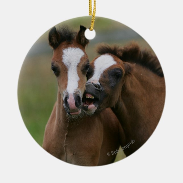 Adorno De Cerámica El jugar de los potros (Frente)