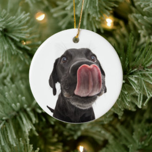 Adorno De Cerámica El labrador negro toca la nariz