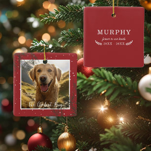 Adorno De Cerámica El Mejor Chico (Chica)   Foto Memorial de Mascotas